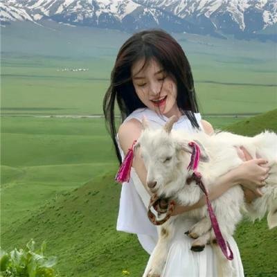 角落里的阳光